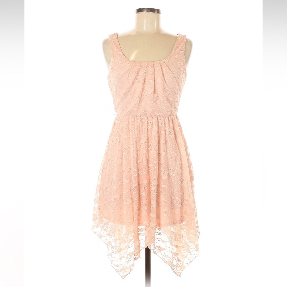 Lily Rose Blush Lace Top